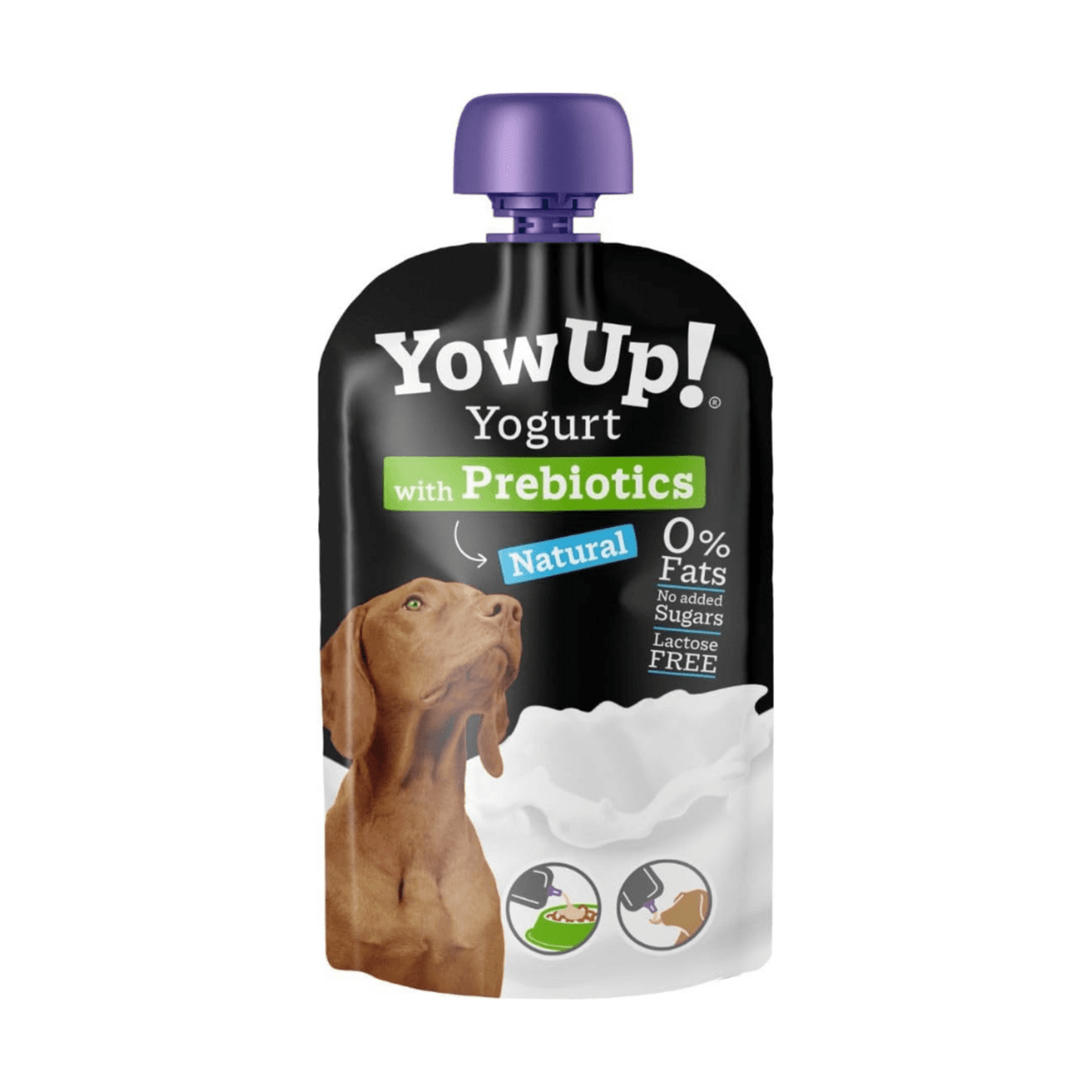 Yogur Natural para Perros - 2