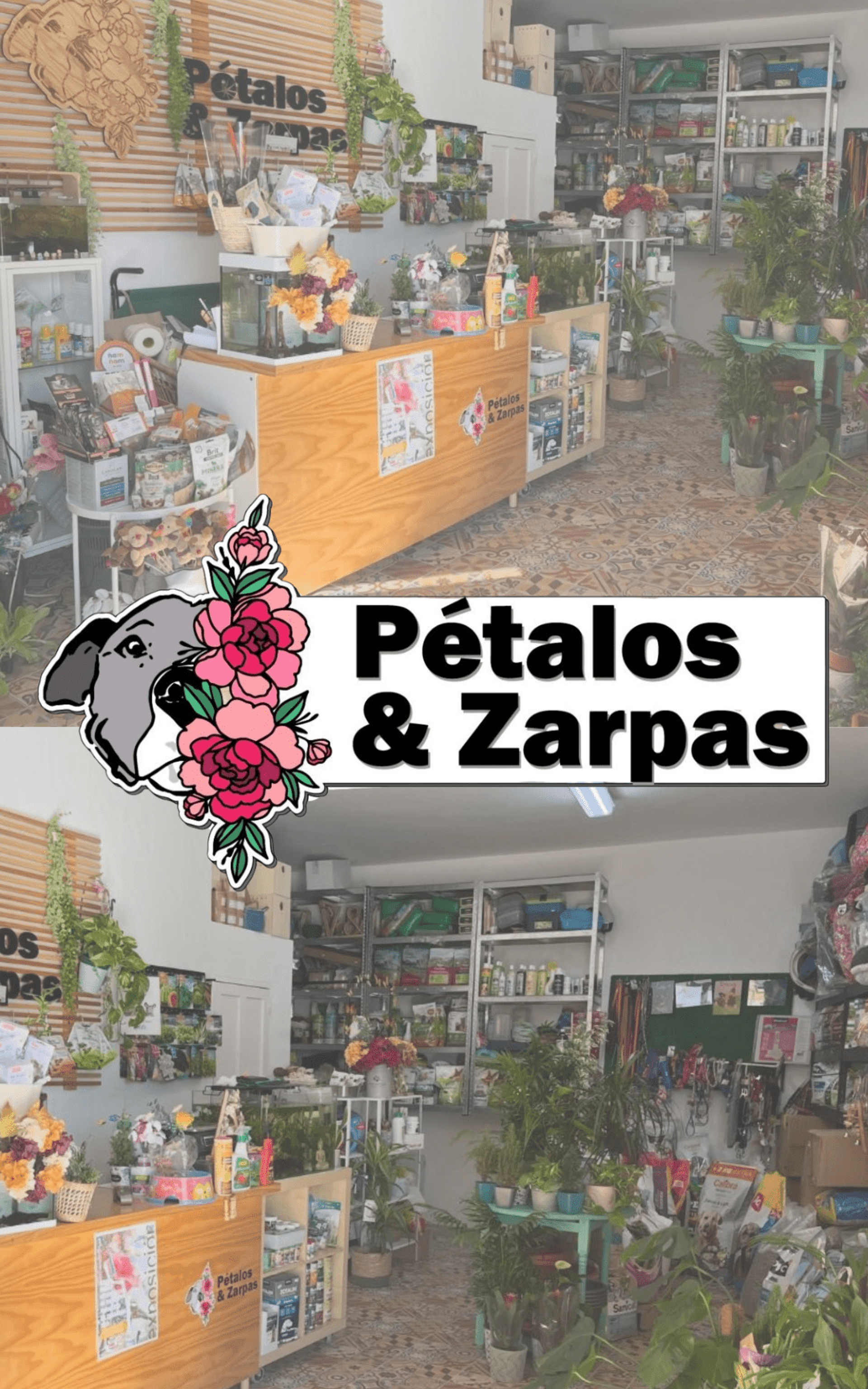 ENVIO HASTA 15KG - 1